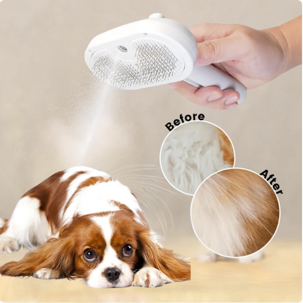 Premium Spa Brush